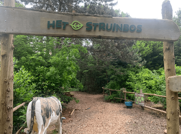 Struinbos