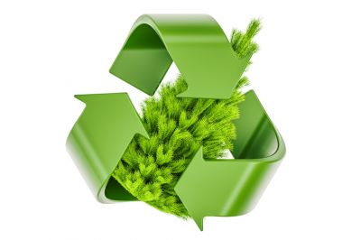 5 tips voor het recyclen van je kerstgroen